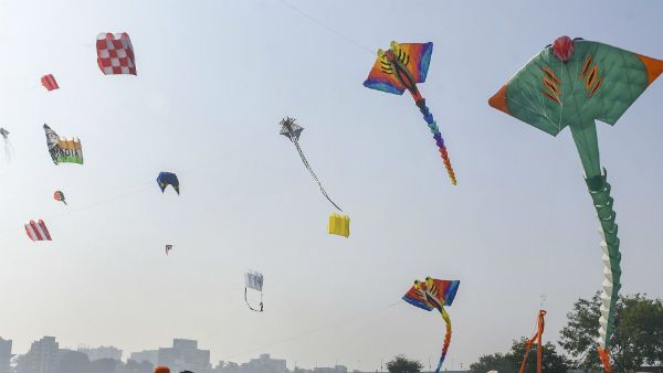 মকর সংক্রান্তিতে গুজরাটে ঘুড়ির মাঞ্জায় মৃত প্রায় দেড়শোর বেশি পাখি