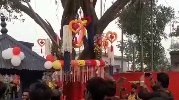 হইচই করে, পাত পেড়ে খেয়ে বট-পাকুড়ের বিয়ে দিল কালিয়াগঞ্জ