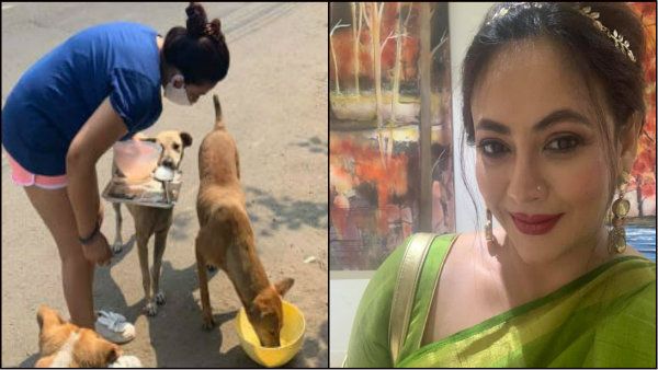 রাস্তার কুকুরদের খাওয়ানোর জন্য অপমান, কাঁদতে কাঁদতে ভিডিও করলেন শ্রীলেখা