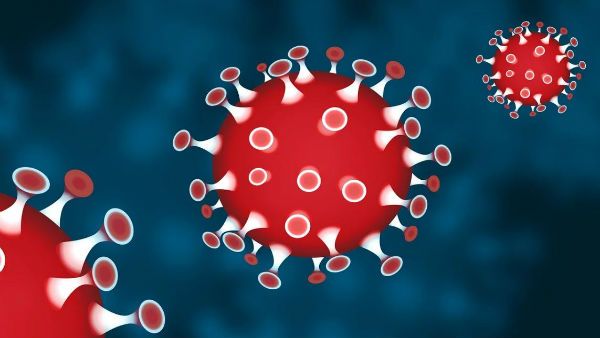 মনুষ্যসৃষ্ট নয়, প্রাকৃতিকভাবে উৎপন্ন হয়েছে করোনা ভাইরাসের, দাবি বিশ্ব স্বাস্থ্য সংস্থার