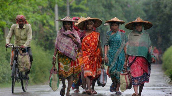 ঘূর্ণিঝড় আম্ফানের ফলে বাংলার ১৪টি জেলার কৃষিক্ষেত্র সম্পূর্ণভাবে নষ্ট হয়ে গিয়েছে