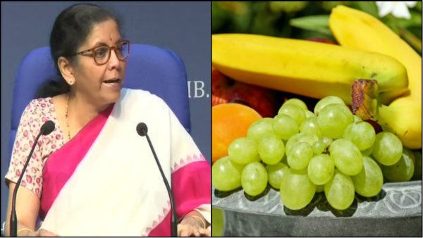 ‘অপারেশন গ্রিনের’ আওতায় এবার সমস্ত ফল এবং শাক-সবজির চাষ, বিশদে জানুন  