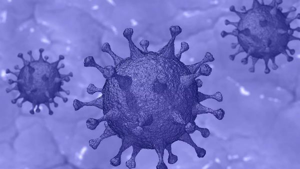 ইউরোপ ও মধ্যপ্রাচ্যের দেশ গুলি থেকেই ভারতে মারণ করোনার উদ্ভব, মত আইআইএসসি-র গবেষকদের