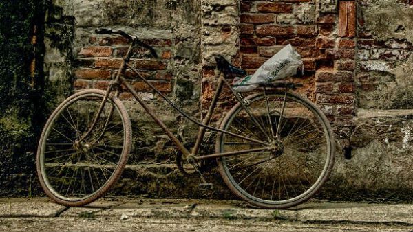 বাংলায় মেলেনি চিকিৎসা, অসুস্থ স্ত্রীকে সাইকেলে চাপিয়ে ১০০ কিমি পাড়ি দিয়ে ঝাড়খণ্ডে পুরুলিয়ার হরি