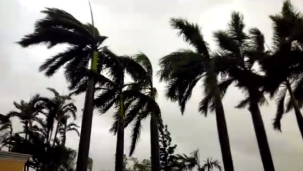 ‘নিসর্গ আসার আগেই ১০০ কিমির ঝড়! মুম্বইয়ে দুর্যোগ শুরু, গোয়ায় বন্যা পরিস্থিতি