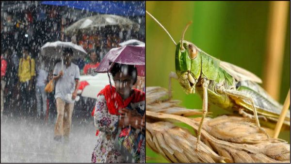 বর্ষার হাওয়া বয়ে আনছে নয়া বিপদ, নতুন বিপর্যয়ের মুখে পড়তে চলেছে ভারতের সাত রাজ্য