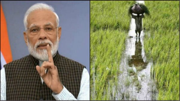 চাষিদের পাশে মোদী সরকার! খরিফ ফসল নিয়ে দাম বৃদ্ধি কোন পর্যায়ে এগোচ্ছে