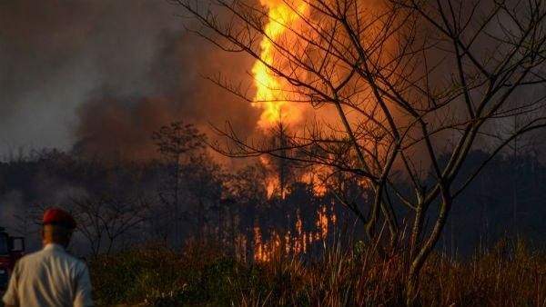 অসমের গ্যাস লিক নিয়ন্ত্রণে আনতে লাগবে আরও ২৫ দিন! কীভাবে আগুন লাগল তিনসুকিয়াতে?
