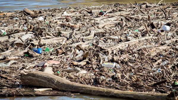 ভয়াবহ আকার নিচ্ছে সাগরের প্লাস্টিক দূষণ! ২০৪০-র মধ্যে তিনগুণ ক্ষতির সম্ভাবনা