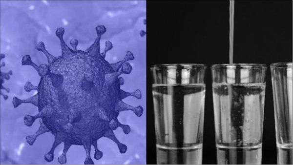 তালের রসের মদ সারিয়ে দেয় ক্যানসারের, দাবি তেলঙ্গানার আবগারি দফতরের মন্ত্রী