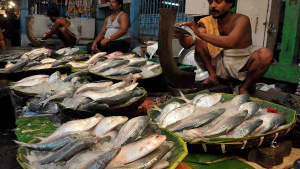 ভরা শ্রাবণেও এশিয়ার অন্যতম বড় বাজারে ইলিশের ভাড়ার শূন্য! কারণ কী?