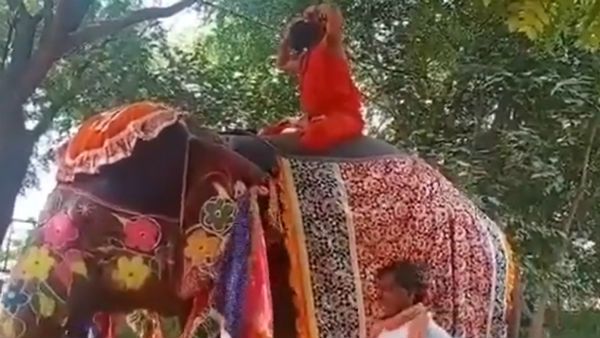 যোগাসন শেখাতে গিয়ে হাতির পিঠ থেকে পড়ে ধরাশায়ী বাবা রামদেব, ভিডিও ভাইরাল সোশ্যাল মিডিয়ায়