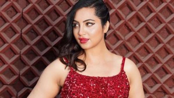 তোমাকে বাবা বানিয়েও দিতে পারি, বিগ বসে প্রবেশ করেই অভিনব শুক্লার সঙ্গে ফ্লার্টিং আরশি খানের