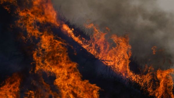 নাগাল্যান্ডের দাবানল এগোচ্ছে প্রতিবেশি রাজ্যের দিকে, সেনা–এনডিআরএফের সহায়তা চাইল মণিপুর সরকার