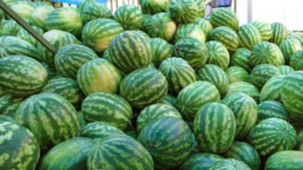 তরমুজ: 'ন্যায্যমূল্য' নিশ্চিত করতে চলছে ভ্রাম্যমান আদালতের অভিযান