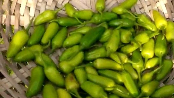 করোনা প্রতিরোধে সীমান্তের গ্রামে পলি মানচিং পদ্ধতিতে চাষ নতুন প্রজাতির লঙ্কার