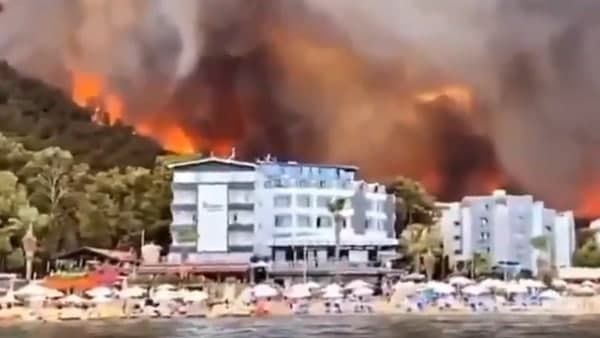 তিনদিন ধরে দাউ দাউ করে জ্বলছে একের পর এক জঙ্গল! খালি করা হচ্ছে গ্রামের পর গ্রাম