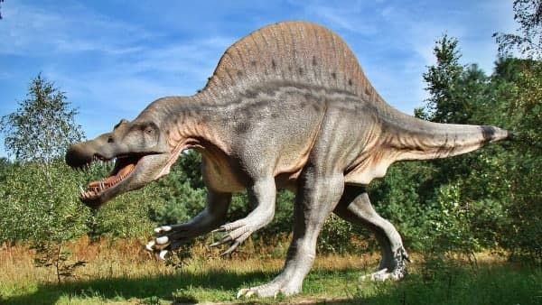 চিন ফের কাড়ছে শিরোনাম! এবার সেদেশে দেখা মিলল নতুন দুই প্রজাতির ডাইনোসরের জীবাশ্মর