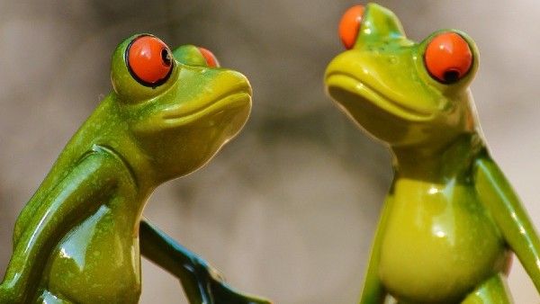 ব্যাঙের বিয়ে থেকে ডিভোর্স! দেশের বিভিন্ন এলাকায় বৃষ্টি-খরা ঘিরে কিছু আজব রীতি একনজরে