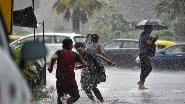 বর্ষাকাল উপভোগ করুন এই ভেষজগুলির সঙ্গে, সর্দি–কাশি জ্বর থাকবে দূরে