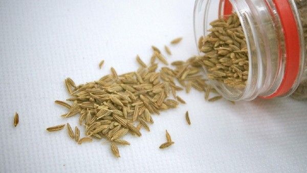 রান্নায় নয়, জীবনের স্বাদ বদলান জিরে দিয়ে, সুখ–সমৃদ্ধি–সাফল্য আসবে সবই