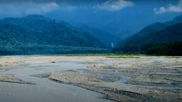 সবুজে মোড়া জয়ন্তীর অপার রহস্যে লুকিয়ে ডুয়ার্সের এক টুকরো সৌন্দর্য্য