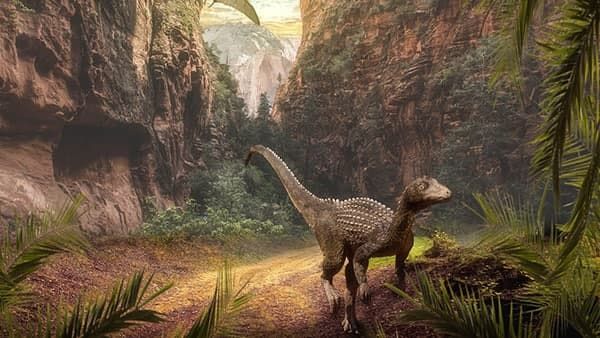 মধ্যপ্রদেশে মিলল ডায়নসরের ডিম, মিলবে পাখি ও সরীসৃপের অনেক অজানা তথ্য