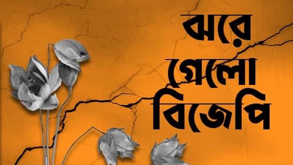 ঘরের মেয়ের উপরেই ভরসা রাখল ভবানীপুর: সব ওয়ার্ডে জেতার পরেই মন ভরে গিয়েছে বললেন মমতা