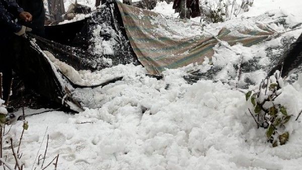 ভয়ঙ্কর তুষারপাতে সিকিমের ছাঙ্গুতে আটকে প্রায় ৩০০ পর্যটক! গভীর রাত পর্যন্ত উদ্ধারে ভারতীয় সেনা