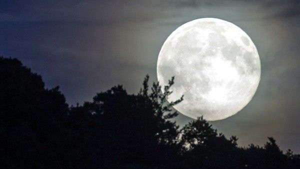 কার্তিক পূর্ণিমার বিশেষ দিনে এই বিশেষ কাজগুলি অবশ্যই করুন, ভাগ্য ফিরতে দেরি হবে না