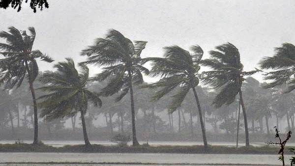 বাংলায় জলোচ্ছ্বাস-সামুদ্রিক ঝড়ের প্রবণতা নিয়ে গবেষণা খড়গপুর আইআইটির, উঠে এল যেসব জেলা-শহরের নাম