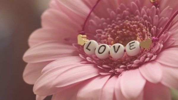 'প্রেমপত্র' লিখে দিচ্ছে ChatGPT-! valentine's day-এর আগে সামনে এল বিশেষ রিপোর্ট