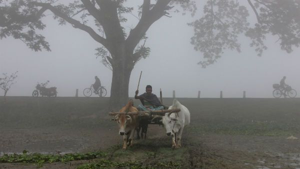 Weather Update: হতে পারে তুষারপাত, তাপমাত্রা কমবে ৩-৫ ডিগ্রি! একনজরে বাংলার বিভিন্ন জেলার আবহাওয়ার পূর্বাভাস