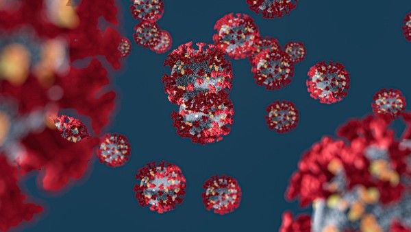 ওমিক্রন সাধারণ ঠান্ডা লাগা নয়, হাল্কা ভাবে নিলেই মারাত্মক! মহামারী বিশেষজ্ঞের পাল্টা সতর্কবার্তা কেন্দ্রের