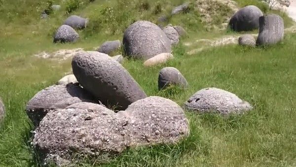 জীবন্ত পাথর! মানুষের মতোই হাঁটা-চলা করে বাড়তেও থাকে, এমনটা কেন হয় জানেন