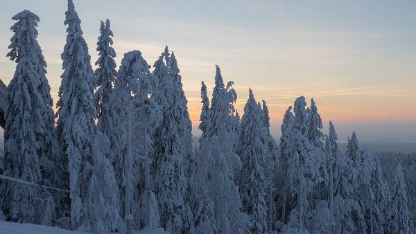দক্ষিণের বৃষ্টির পর এবার উত্তরের তুষারপাত, হাইওয়ে থেকে স্কুল বন্ধ সবকিছু, জনজীবন বিপর্যস্ত কাশ্মীরে
