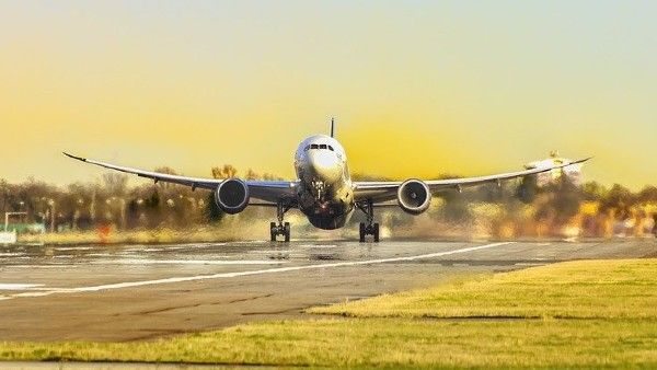 বিমানের চাকায় ঝুলে ১১ ঘণ্টা পাড়ি! দুঃসাহসিক-যাত্রায় অক্ষত যাত্রী, অবাক দুনিয়া