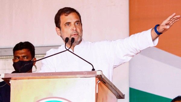 অমরিন্দর সিং-এর সঙ্গে বিজেপির সম্পর্ক ছিল তাই সরানো হয়েছে, দাবি রাহুল গান্ধীর