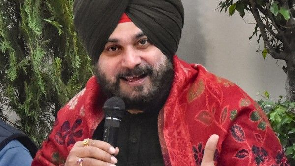 'কংগ্রেসের উচ্চ নেতৃত্ব একজন দুর্বল মুখ্যমন্ত্রী চান', ঘুরিয়ে রাহুল-সোনিয়াদের তোপ সিধুর