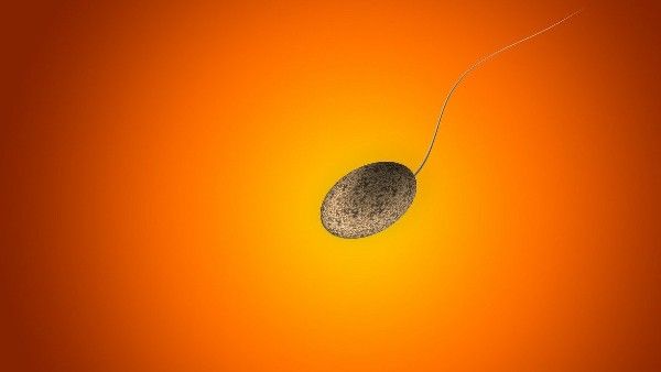 বায়ু দূষণের বাড়বাড়ন্তে দুর্বল হচ্ছে শুক্রাণু! রিপোর্টে সামনে এল চাঞ্চল্যকর তথ্য