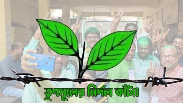 শাসকের চিন্তা বাড়িয়ে দ্বিতীয় পজিশনে নির্দল! একাধিক পুরসভায় কাঁটা 'বহিষ্কৃত' তৃণমূলীরাই