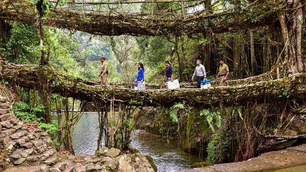 মেঘালয়ের মাথায় নতুন পালক, ইউনেস্কোর বিশ্ব ঐতিহ্যবাহী তালিকায় স্থান লিভিং রুট ব্রিজ–এর