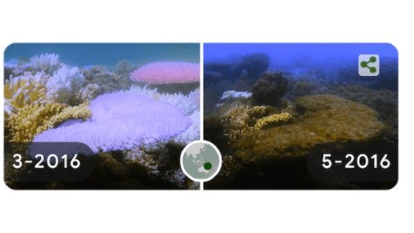 বিশেষ ডুডল বানিয়ে বিশ্ব বসুন্ধরা দিবস পালন গুগলের, একযুগে কতটা পাল্টেছে আমাদের পৃথিবী?