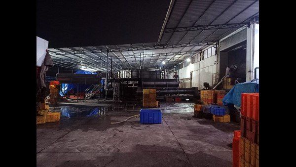 ভিন রাজ্যে কাজে গিয়ে মর্মান্তিক পরিণতি! বাংলার ৫ যুবকের মৃত্যু দক্ষিণের মাছ প্রক্রিয়াকরণ কারখানায়