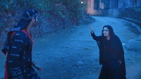 মুক্তির দু’‌দিনে ৩২ কোটির ওপর সংগ্রহ, কার্তিক–অনীশের ভুল ভুলাইয়া ২ ‌বক্সঅফিসে সুপারহিট