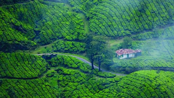 হানিমুনে সঙ্গীকে নিয়ে কোথায় যাবেন ভাবছেন, কম খরচে ঘুরে আসুন এই জায়গাগুলোতে  