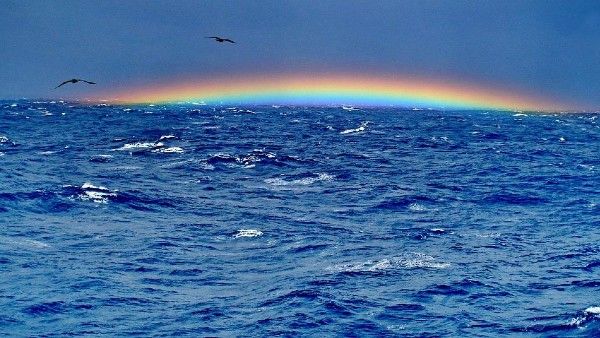 আবহাওয়ার খামখেয়ালিপনা নাকি মতিভ্রম? অবশেষে বারমুডা ট্রায়াঙ্গেলের রহস্য উদঘাটন