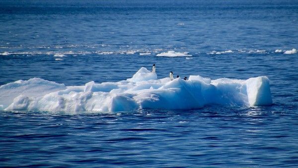আর্কটিক মহাসাগরের বরফ দ্রুত গলছে! তৈরি হবে নয়া আন্তর্জাতিক বাণিজ্য-পথ