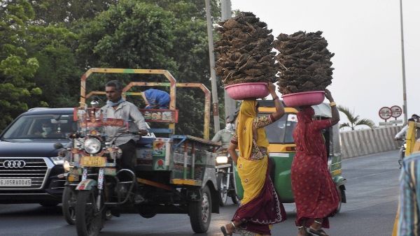 নবী মন্তব্যের রেশের মাঝে প্রথমবার ভারত দেশীয় গোবর রপ্তানি করবে কুয়েতে