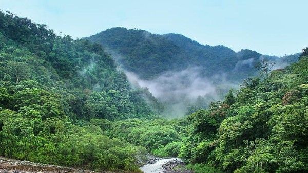 বর্ষায় অরণ্যের রোমাঞ্চ উপভোগ করতে চান? হাতছানি দিয়ে ডাকছে আম্বোলি